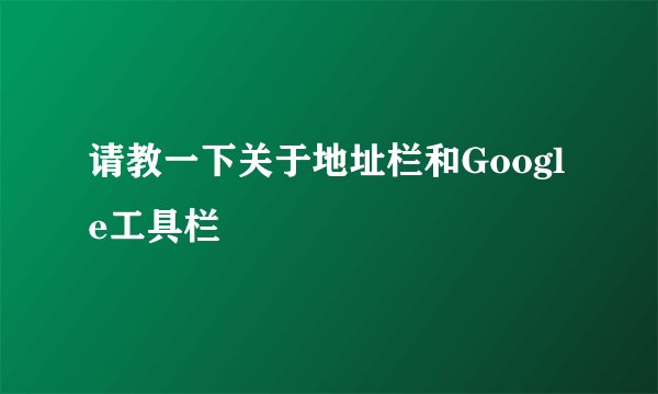 请教一下关于地址栏和Google工具栏