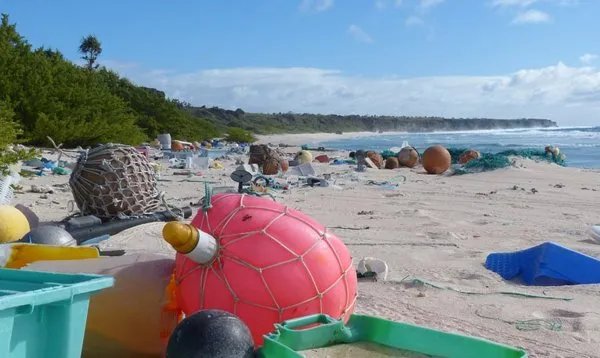 地球上污染最严重的无人岛在哪里？