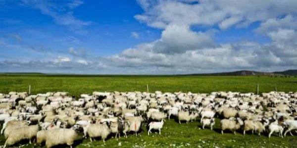 敦煌莫高窟因强沙尘暂停开放，沙尘天气对人们的生产生活带来了哪些影响？