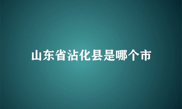山东省沾化县是哪个市