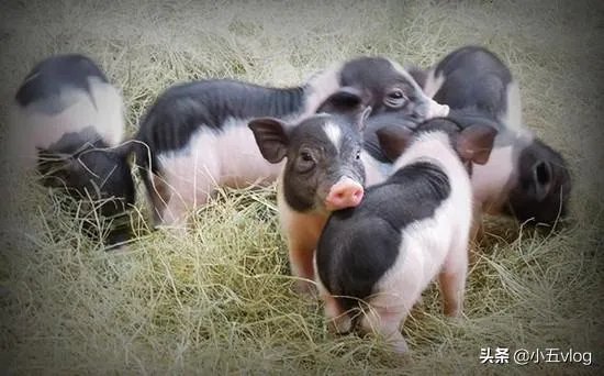 怎样做生意好？