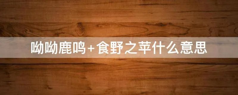 呦呦鹿鸣 食野之苹什么意思