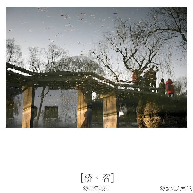 【拙政园-碎片】❤文人，墨客，初冬的拙政园。