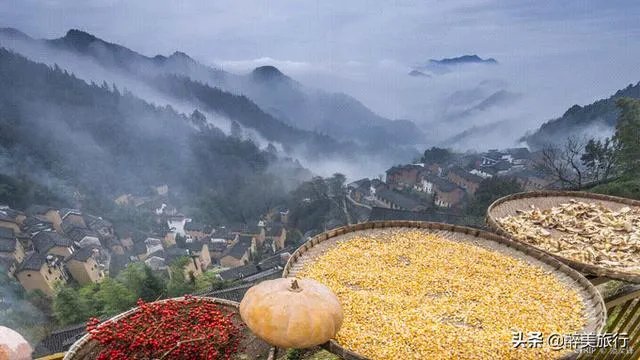 请问上海周边100公里左右自驾游有哪些景点推荐？