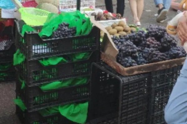 成都市温江区各场镇的赶集时间是什么时间？