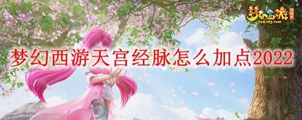 梦幻西游天宫经脉怎么加点2022