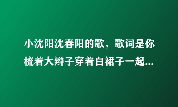 小沈阳沈春阳的歌，歌词是你梳着大辫子穿着白裙子一起攒钱买房子，是什么歌？