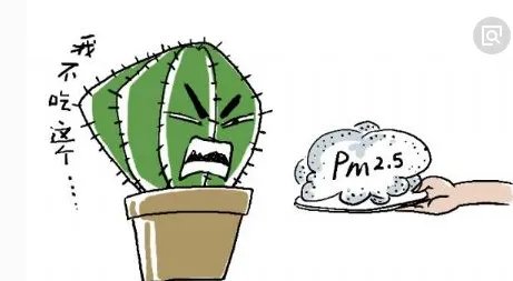 天津PM2.5浓度同比下降了三成吗?