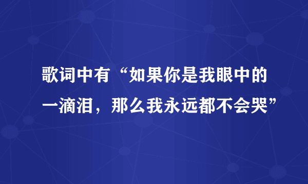 歌词中有“如果你是我眼中的一滴泪，那么我永远都不会哭”