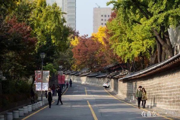 德寿宫石墙路的春天的歌曲简介