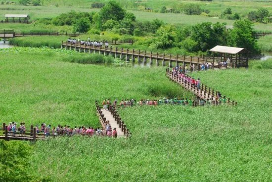 请问,谁能说一下,韩国京畿道景点的位置在哪儿吗?