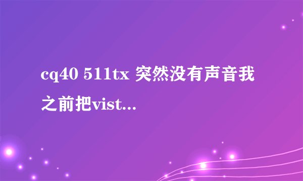 cq40 511tx 突然没有声音我之前把vista的系统换成了xp ，显示没有音频设备