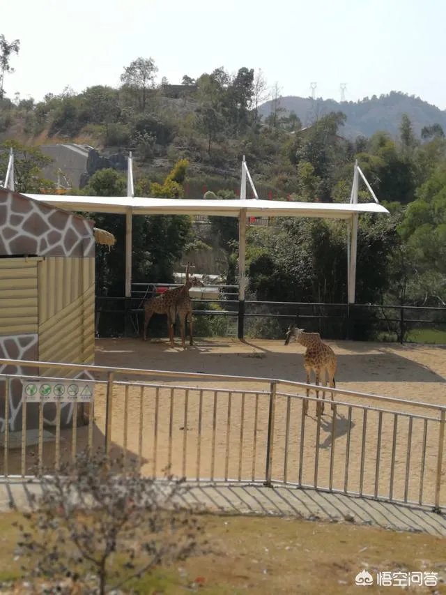 海丝动物园好玩吗