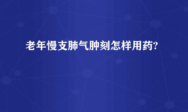 老年慢支肺气肿刻怎样用药?
