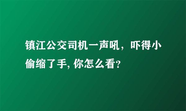 镇江公交司机一声吼，吓得小偷缩了手, 你怎么看？