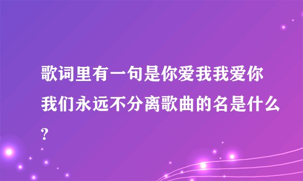 歌词里有一句是你爱我我爱你我们永远不分离歌曲的名是什么?