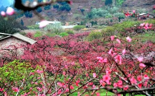 好听的中国民谣