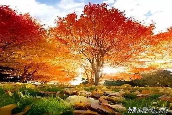 五月二十号发什么说说好?