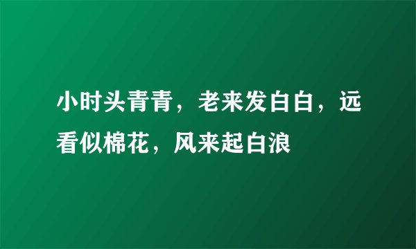 小时头青青，老来发白白，远看似棉花，风来起白浪