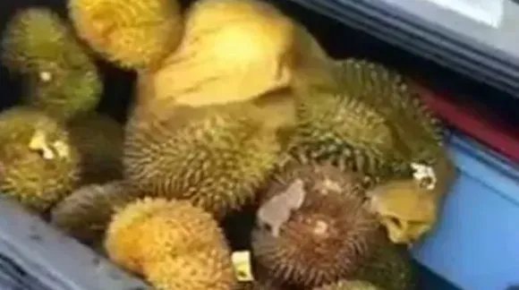 哄抢榴莲村民食物中毒，榴莲是如何散落的？