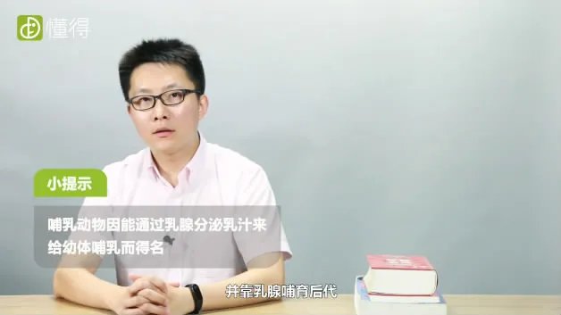 什么是哺乳动物