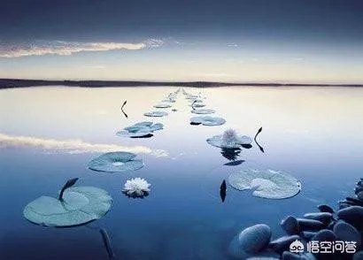 “枕上诗书闲处好,门前风景雨来佳”,你喜欢这两句诗吗?为什么?