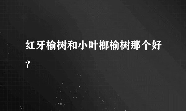 红牙榆树和小叶榔榆树那个好？
