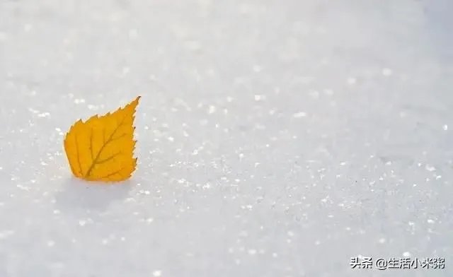 罗永浩老人与海发布会看了吗,对Sharklet抗菌印象如何?