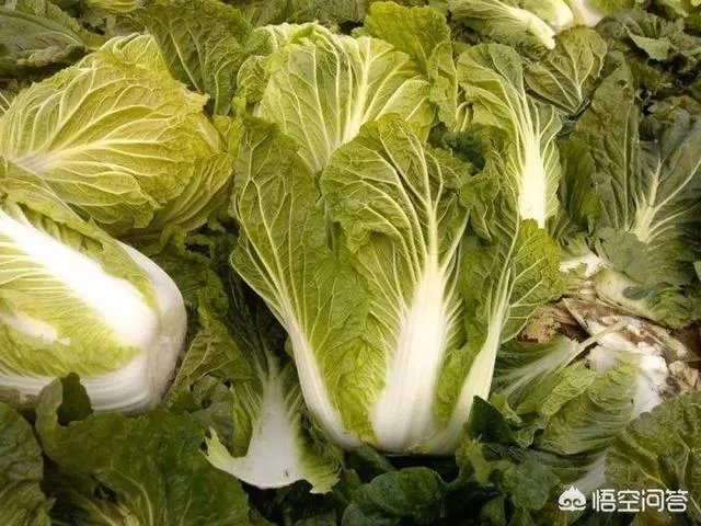 如何识别出甲醛白菜？