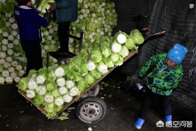 如何识别出甲醛白菜?