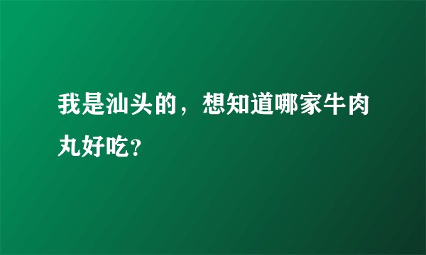 我是汕头的，想知道哪家牛肉丸好吃？