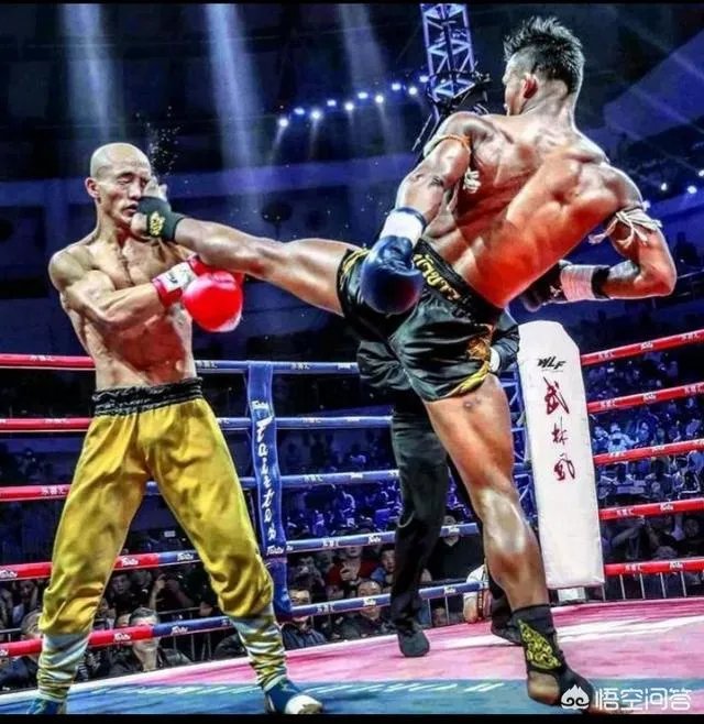 一龙为啥不和西提猜打复仇战，却要和播求打三番战？