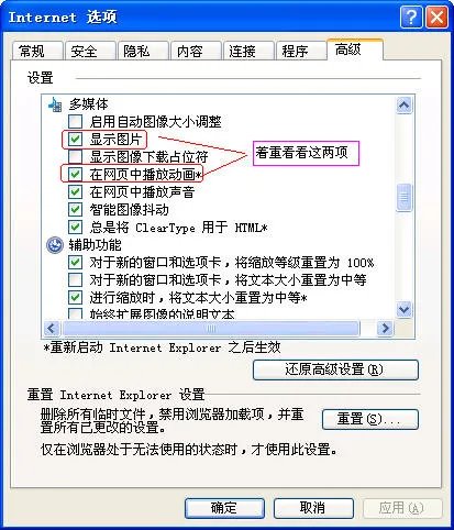 怎么下载flash播放器