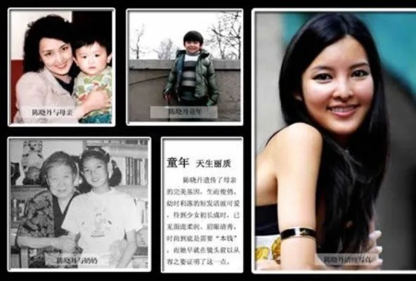 陈晓丹是谁：陈晓丹资料简历及祖母母亲照片