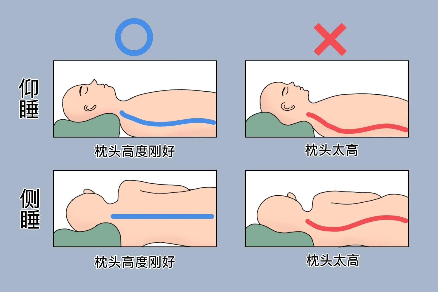 睡觉时枕头的正确位置图片