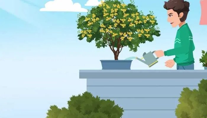 2023年闰二月要注意什么 农历闰二月有什么讲究