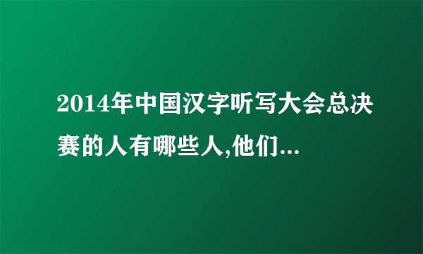 2014年中国汉字听写大会总决赛的人有哪些人,他们的名字叫什么?