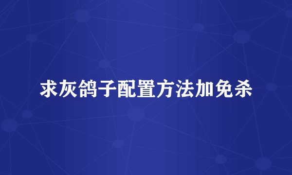 求灰鸽子配置方法加免杀