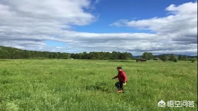 漠河冬天去还是夏天去