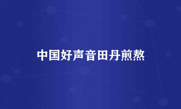 中国好声音田丹煎熬