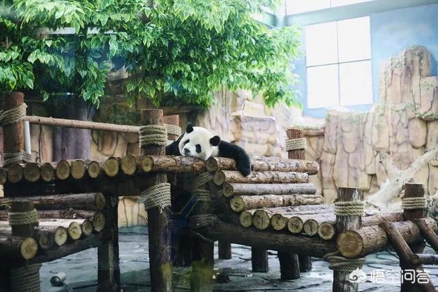 海丝动物园好玩吗