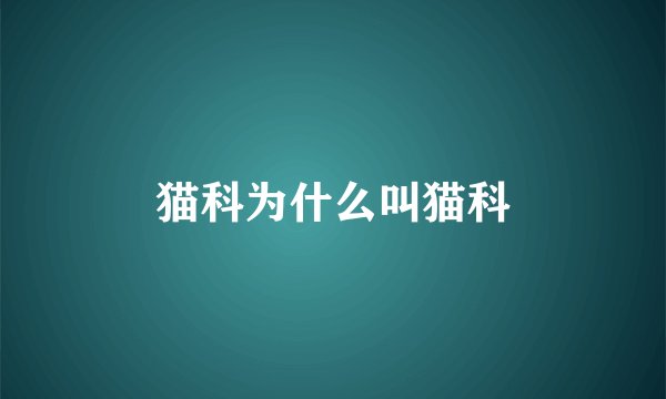 猫科为什么叫猫科