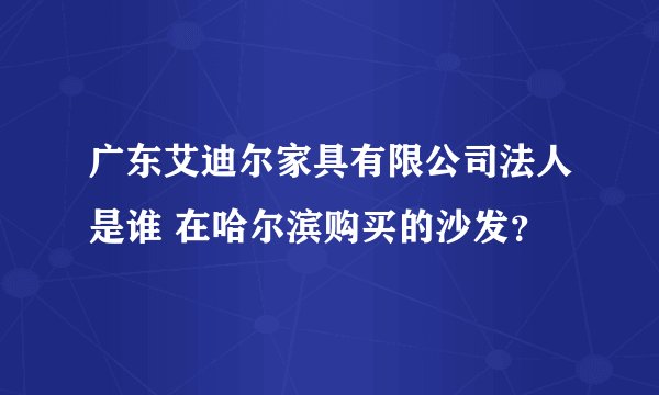 广东艾迪尔家具有限公司法人是谁 在哈尔滨购买的沙发？