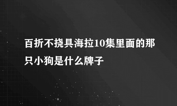 百折不挠具海拉10集里面的那只小狗是什么牌子