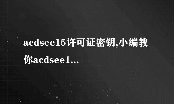 acdsee15许可证密钥,小编教你acdsee15许可证密钥使用方法_飞外