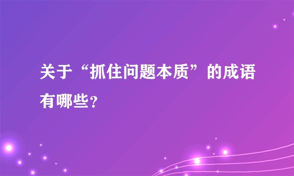 关于“抓住问题本质”的成语有哪些？