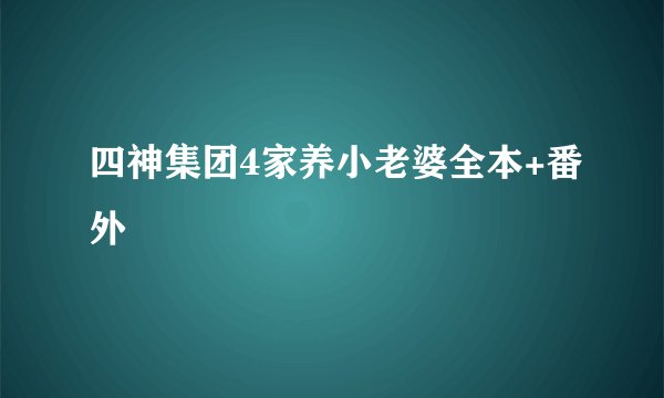 四神集团4家养小老婆全本+番外