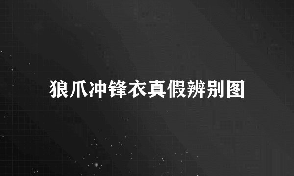 狼爪冲锋衣真假辨别图