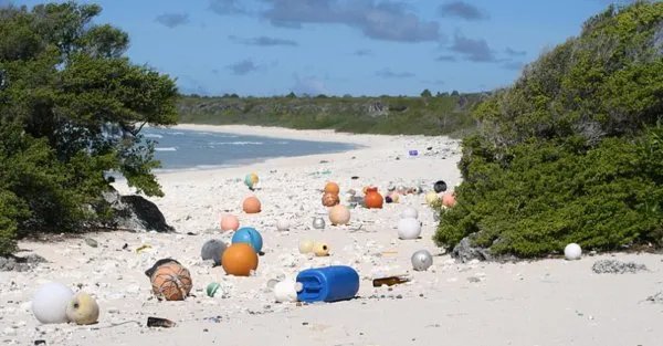 地球上污染最严重的无人岛在哪里？