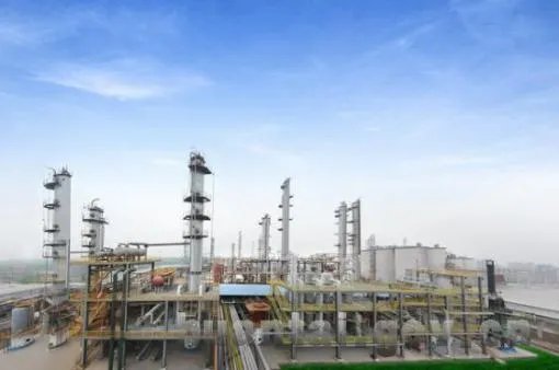 山东海力化工有限公司的简介